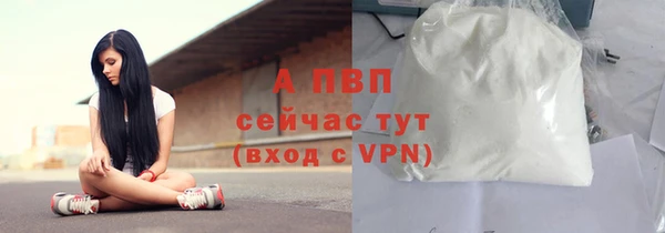 прущий лед Инсар