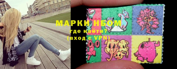 прущий лед Инсар
