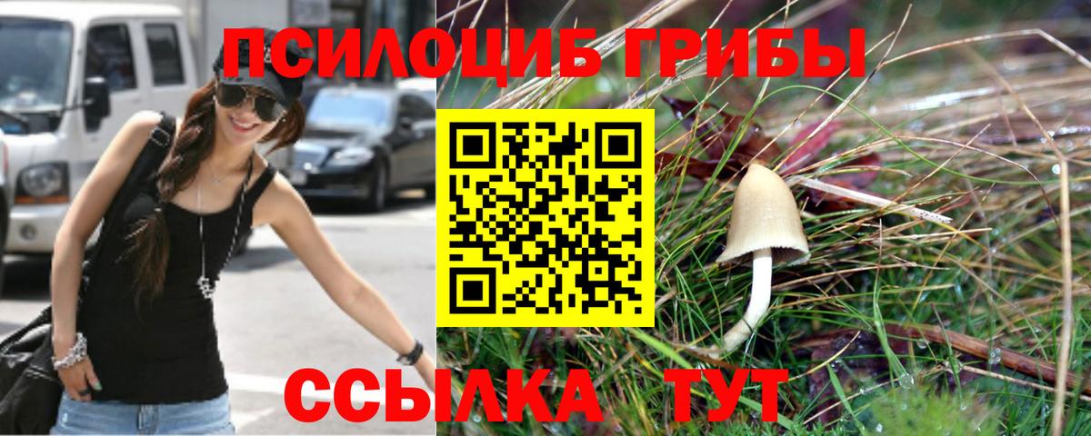 Псилоцибиновые грибы мицелий Пушкино