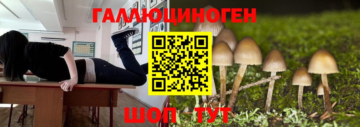 Псилоцибиновые грибы ЛСД  Галлюциногенные грибы мицелий  Вход с VPN  Пушкино 